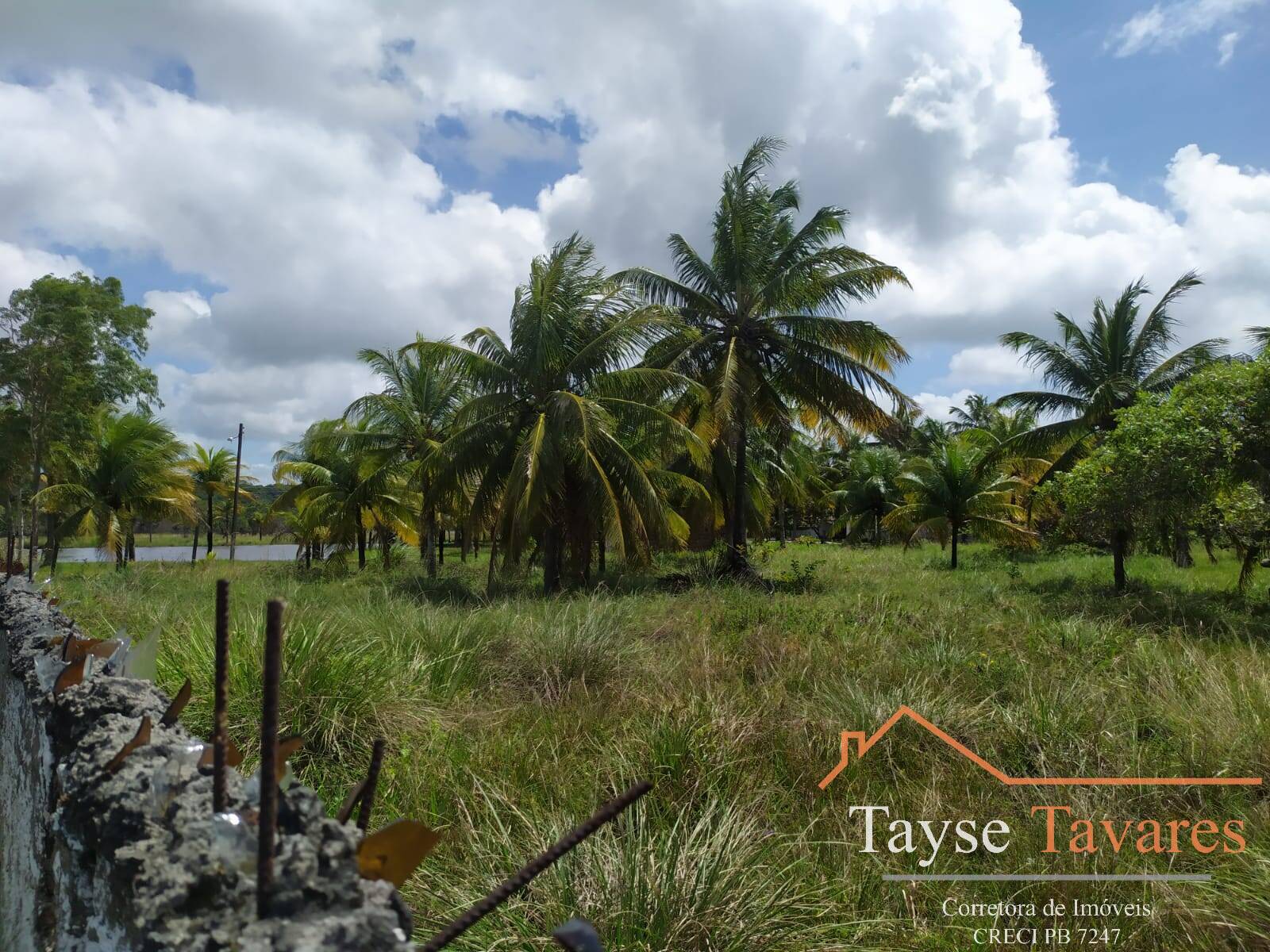 Terreno à venda - Foto 4