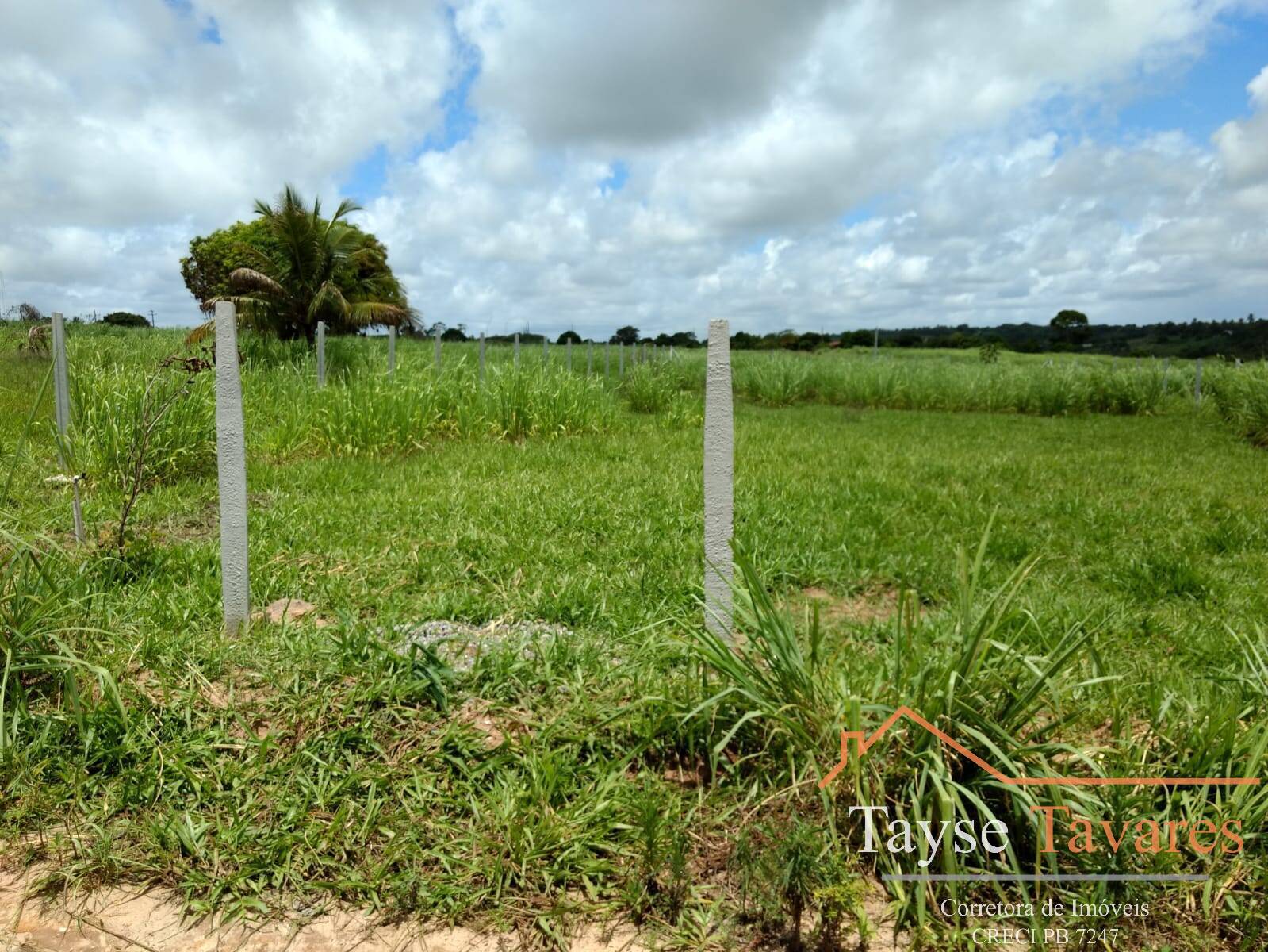 Terreno à venda, 1000m² - Foto 2