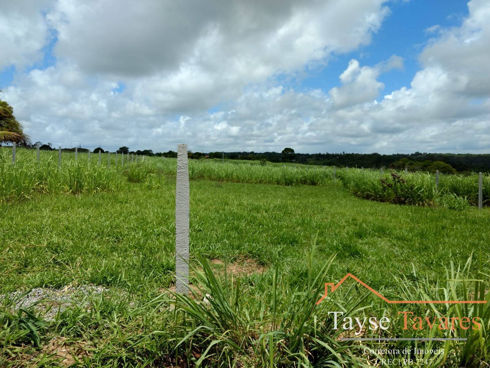 Terreno à venda, 1000m² - Foto 3