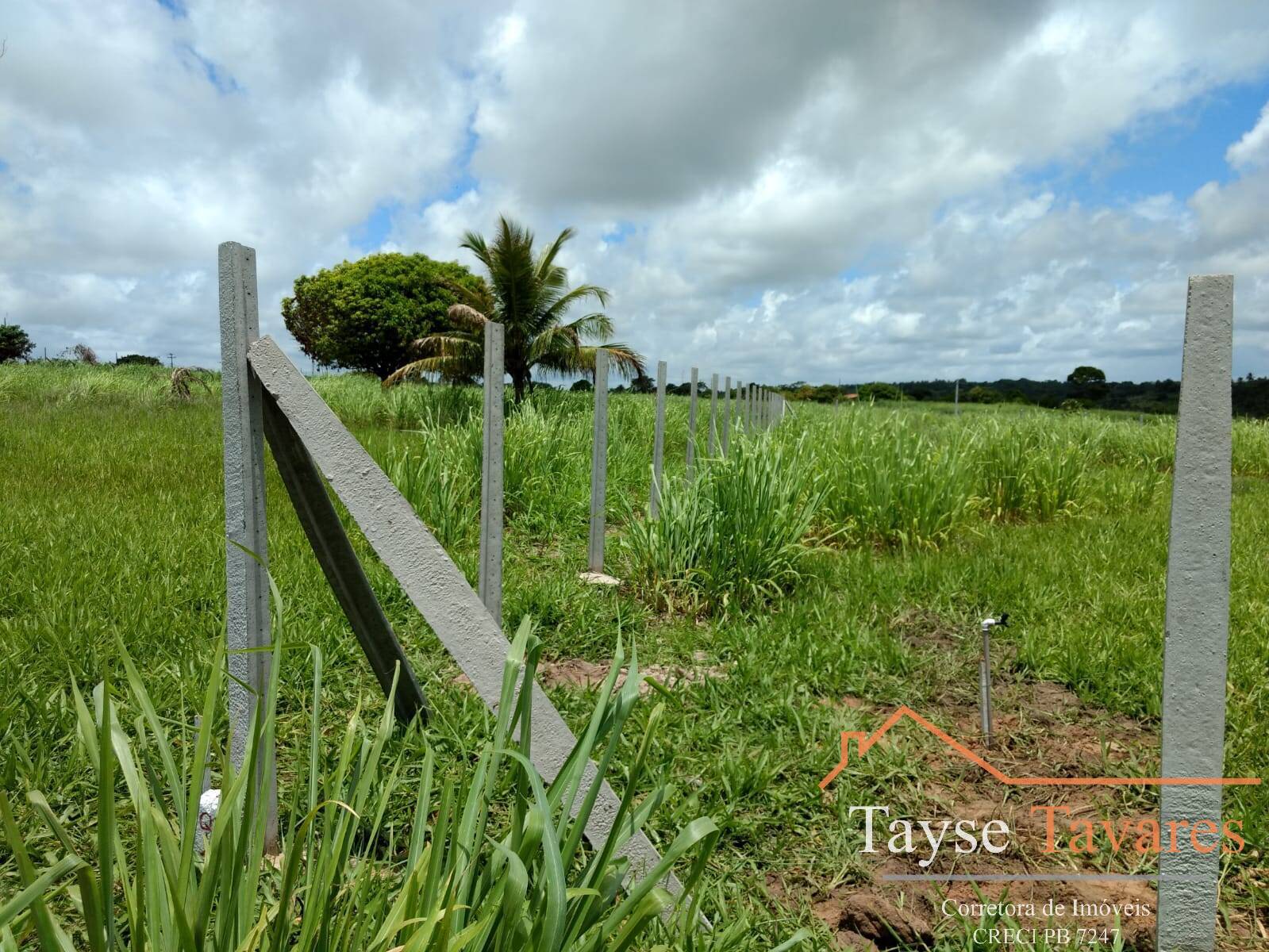 Terreno à venda, 1000m² - Foto 4