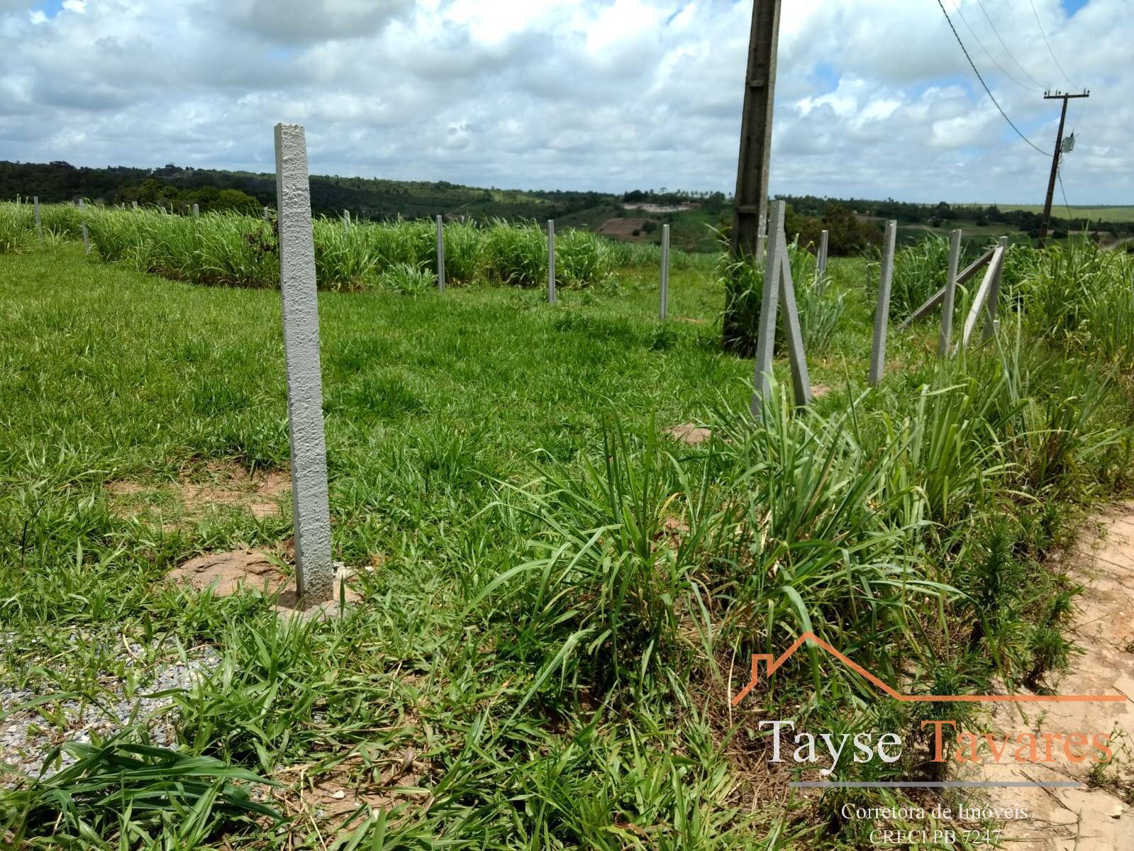 Terreno à venda, 1000m² - Foto 5