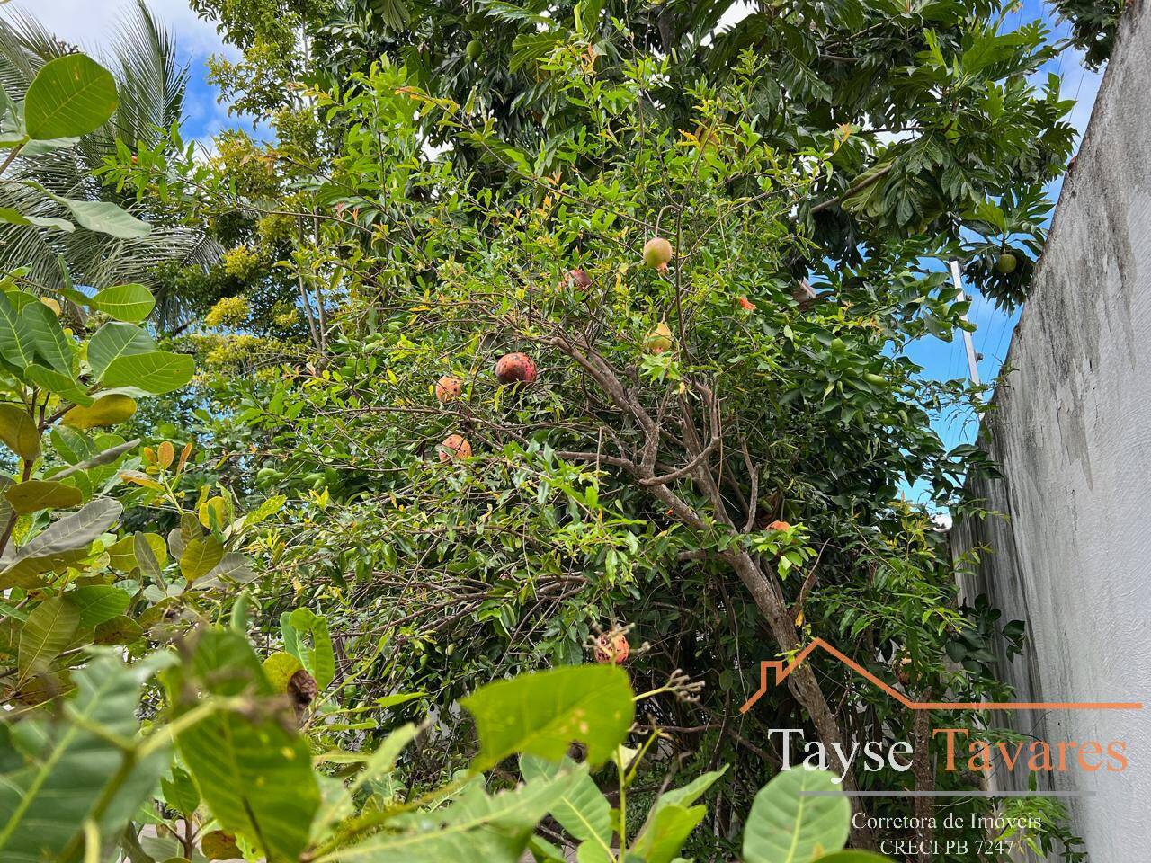 Casa à venda com 4 quartos - Foto 40